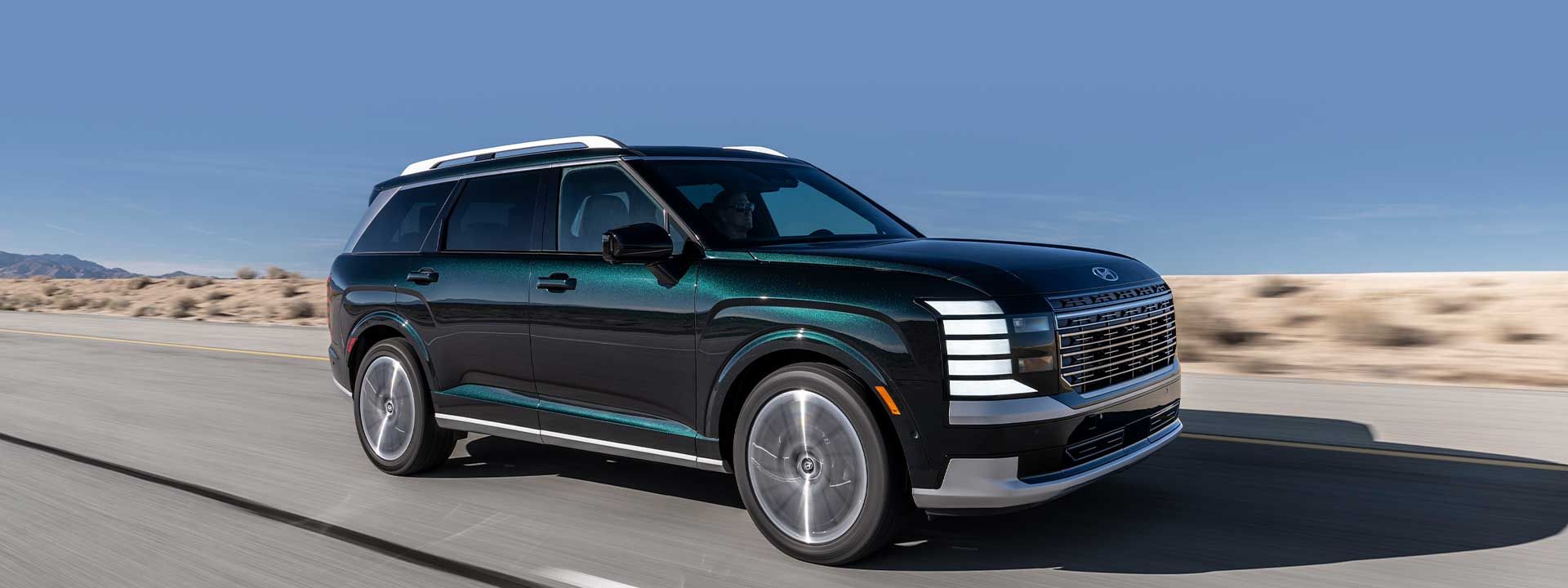 패밀리카 팰리세이드